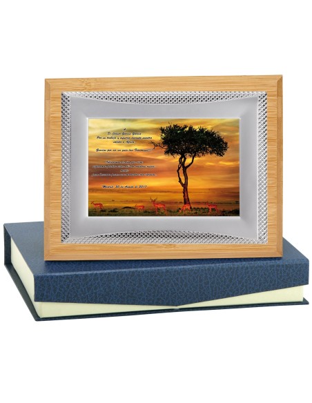 PLACA CONMEMORATIVA - 132-511