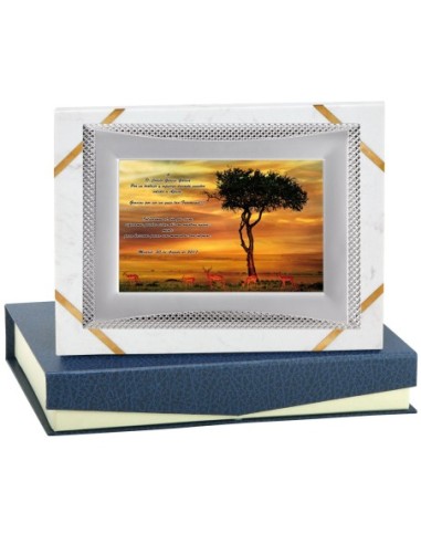 PLACA CONMEMORATIVA - 132-511