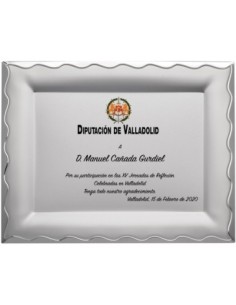 PLACA CONMEMORATIVA - 132-531