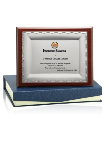 PLACA CONMEMORATIVA - 132-531
