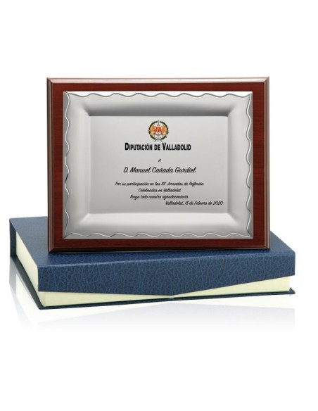 PLACA CONMEMORATIVA - 132-531