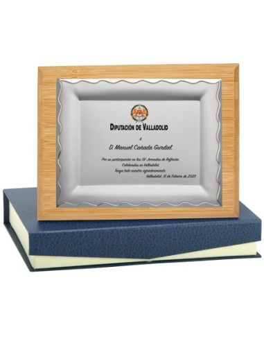 PLACA CONMEMORATIVA - 132-531