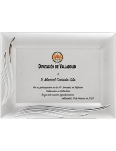 PLACA CONMEMORATIVA - 133-542
