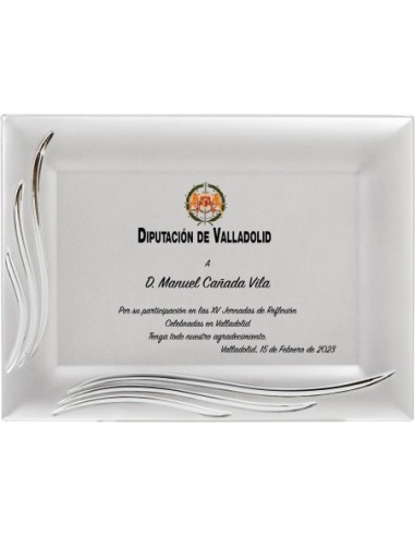 PLACA CONMEMORATIVA - 133-542