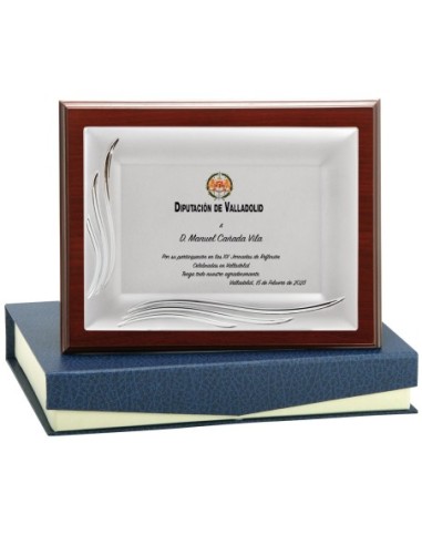 PLACA CONMEMORATIVA - 133-542