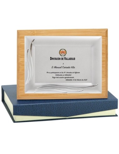 PLACA CONMEMORATIVA - 133-542