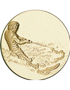 DISCO DORADO SKY ACUATICO Ø 2,5 CM