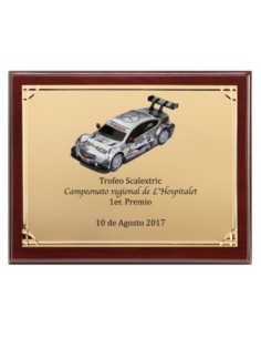 PLACA CONMEMORATIVA - 136-521 2