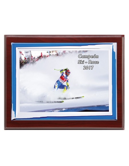 PLACA CONMEMORATIVA - 136-523
