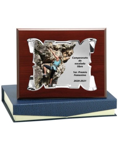PLACA CONMEMORATIVA - 137-525