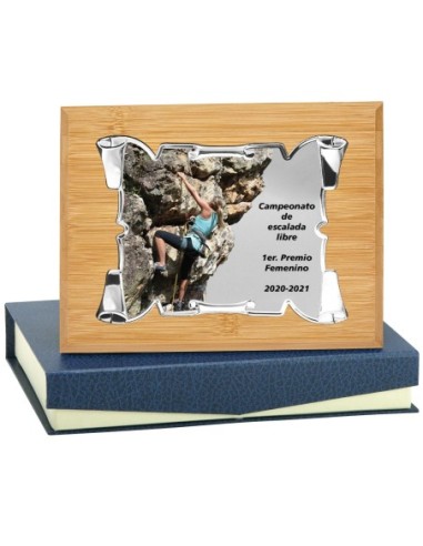 PLACA CONMEMORATIVA - 137-525