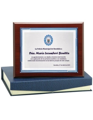PLACA CONMEMORATIVA - 138-524