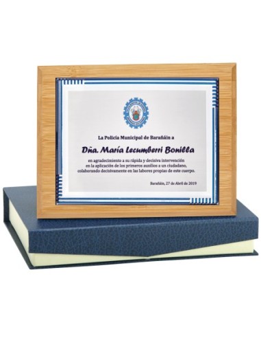 PLACA CONMEMORATIVA - 138-524