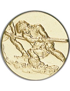 DISCO DORADO CUERDA Ø 2,5 CM