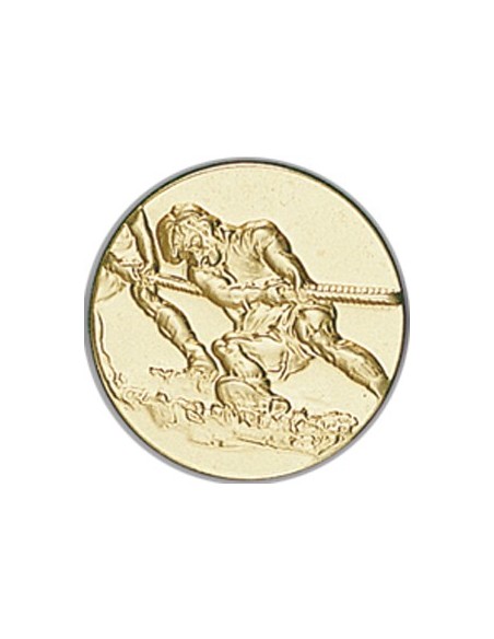 DISCO DORADO CUERDA Ø 2,5 CM