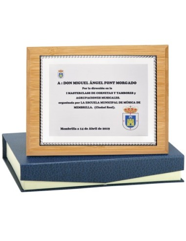 PLACA CONMEMORATIVA - 138-526