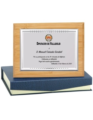 PLACA CONMEMORATIVA - 139-527