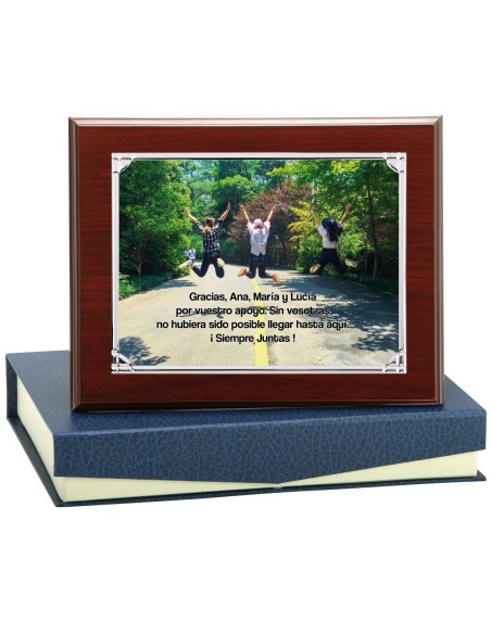 PLACA CONMEMORATIVA - 141-533