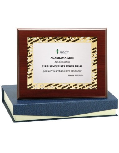 PLACA CONMEMORATIVA - 142-534