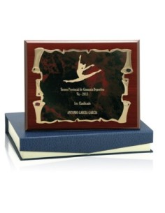 PLACA CONMEMORATIVA - 142-5373 2