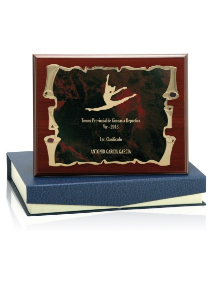 PLACA CONMEMORATIVA - 142-5373