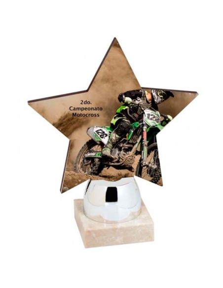 Trofeo de Madera - 24861B