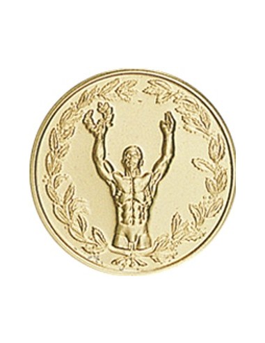 DISCO DORADO UNIVERSAL Ø 2,5 CM