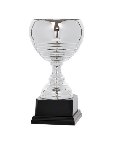 Copa Lujo y Diseño Plata - 91-4741