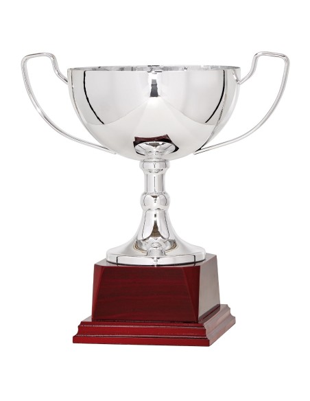Copa Línea Lujo y Diseño Plata