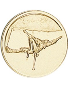 DISCO DORADO ESCALADA Ø 2,5 CM