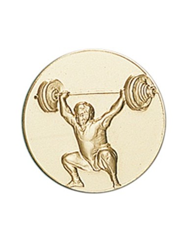 DISCO DORADO PESAS Ø 2,5 CM