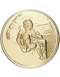 DISCO DORADO TRINEO Ø 2,5 CM
