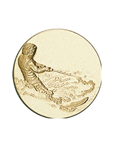 DISCO DORADO SKY ACUATICO Ø 5 CM