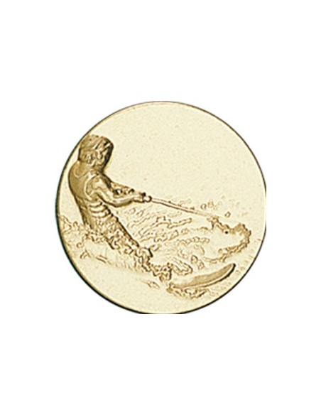 DISCO DORADO SKY ACUATICO Ø 5 CM