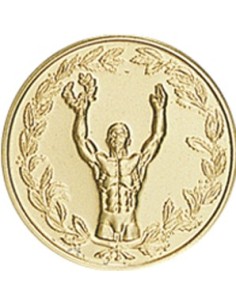 DISCO DORADO UNIVERSAL Ø 5 CM