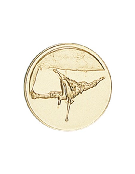 DISCO DORADO ESCALADA Ø 5 CM