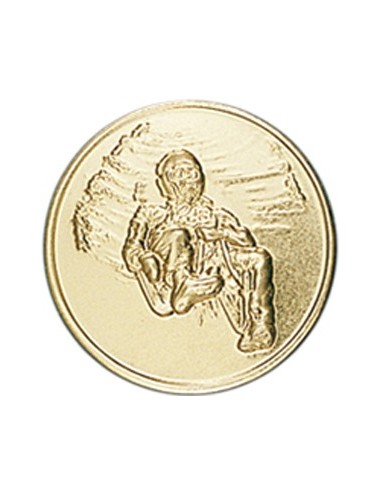 DISCO DORADO TRINEO Ø 5 CM