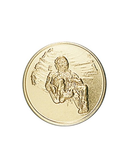 DISCO DORADO TRINEO Ø 5 CM