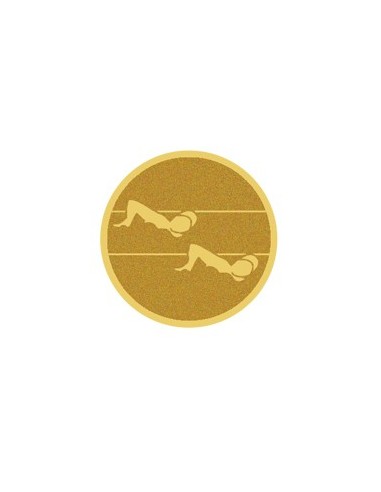 DISCO DORADO AUTOADHESIVA NATACION Ø 2,5 CM