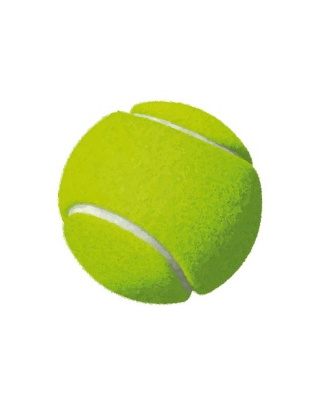 DISCO EPOXY TENIS Ø 2,5 CM - LE04