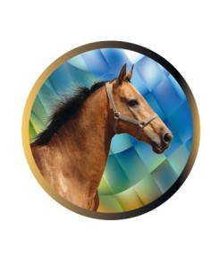 DISCO EPOXY CABALLO Ø 2,5 CM