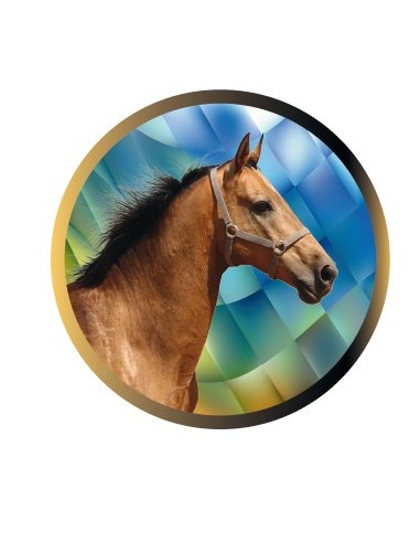 DISCO EPOXY CABALLO Ø 2,5 CM