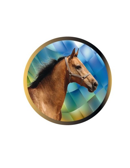 DISCO EPOXY CABALLO Ø 2,5 CM