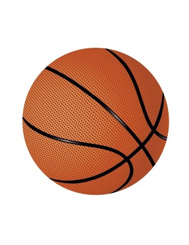 DISCO EPOXY BASQUET Ø 5 CM - CE03
