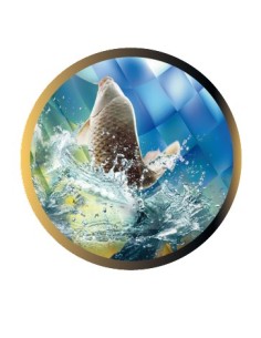 DISCO EPOXY PESCA Ø 5 CM