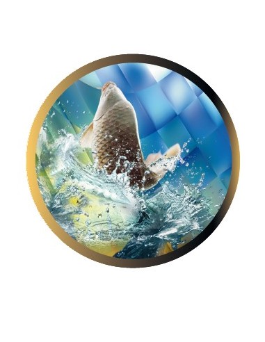 DISCO EPOXY PESCA Ø 5 CM