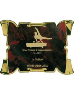 PLACA CONMEMORATIVA - 129-5361