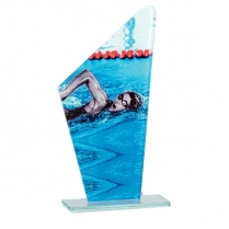 Trofeo nataciÃ³n 6611