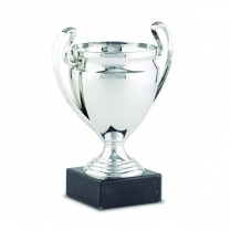 Copa Champions participaciÃ³n