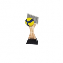Trofeos de Voleibol